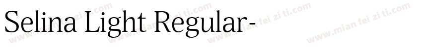 Selina Light Regular字体转换